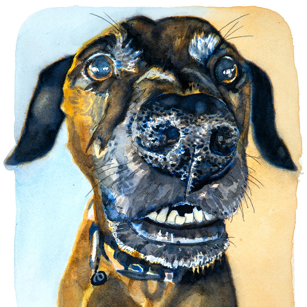 Arsen Art Studio - Pet Portrait of Aloha