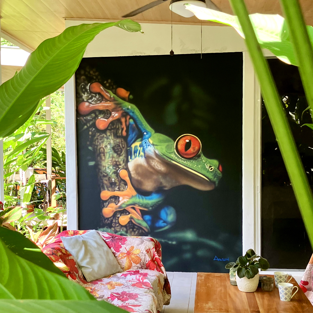 Arsen Art Studio - Red-eyed Tree Frog Mural